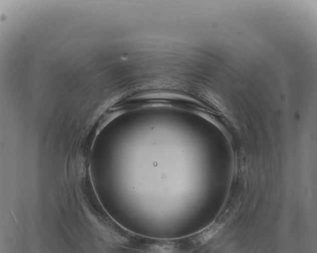 X0000062860164200601201738