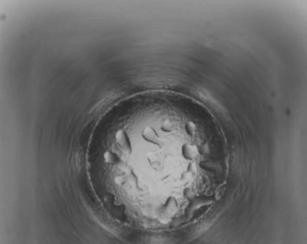 X0000062860165200601201738