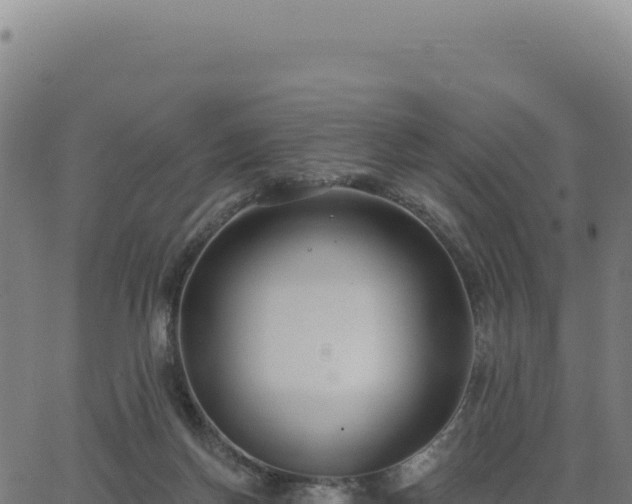 X0000062860166200601201738