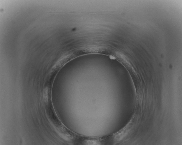 X0000062860167200601201738