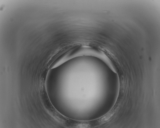 X0000062860168200601201738