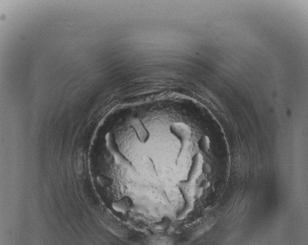 X0000062860169200601201738