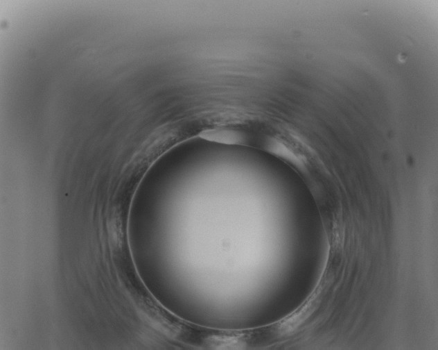 X0000062860170200601201738