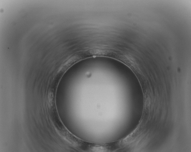 X0000062860171200601201738