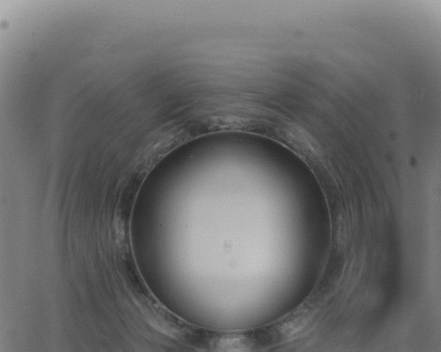 X0000062860173200601201738