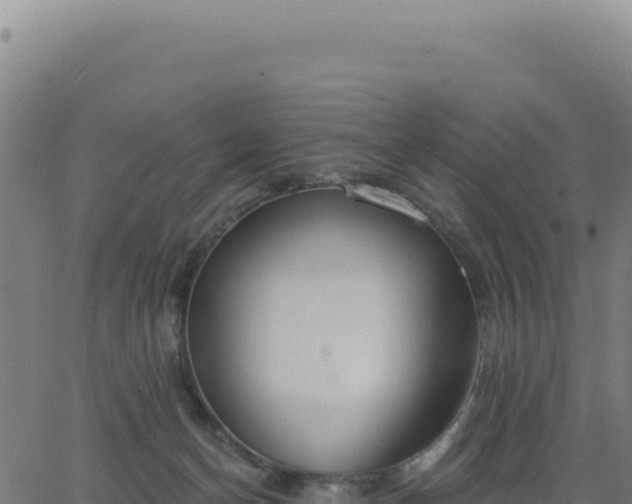 X0000062860174200601201738