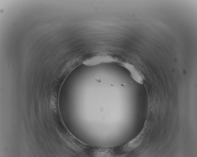 X0000062860175200601201738