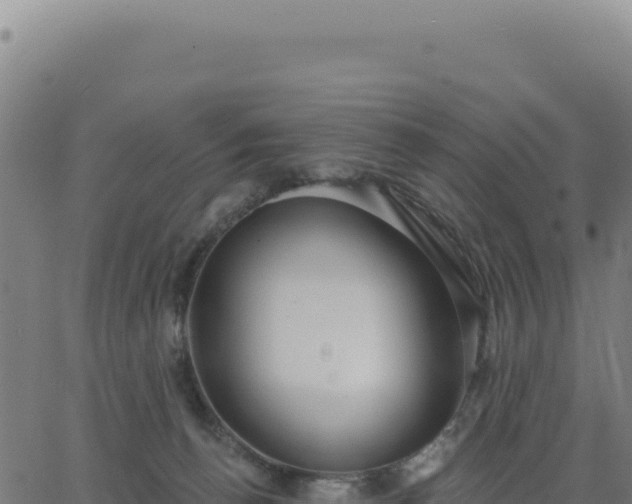 X0000062860176200601201738