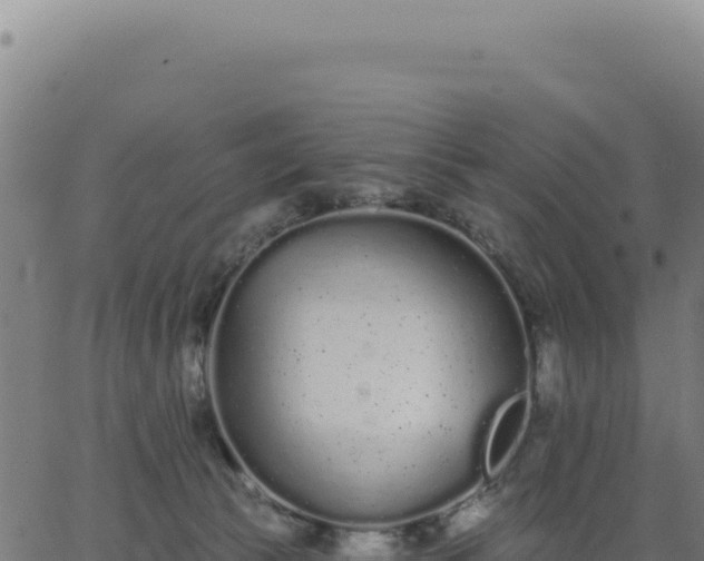 X0000062860177200601201738