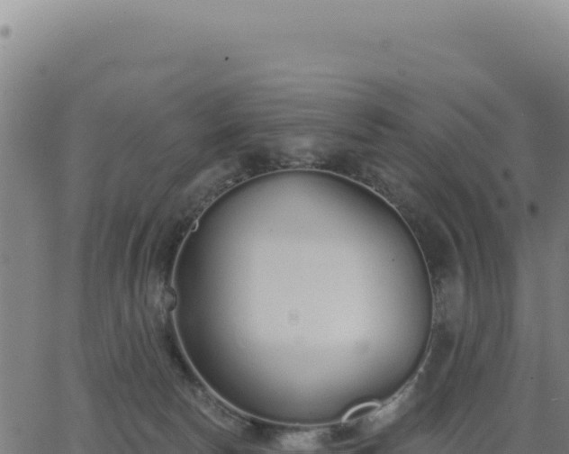 X0000062860178200601201738