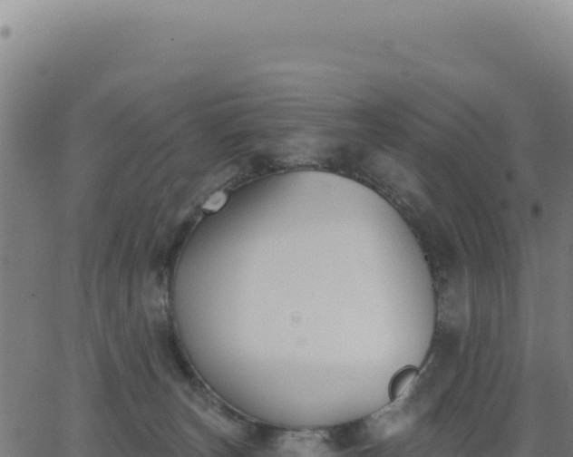 X0000062860179200601201738