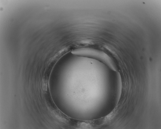 X0000062860180200601201738