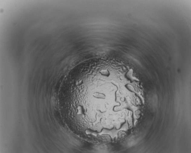 X0000062860181200601201738