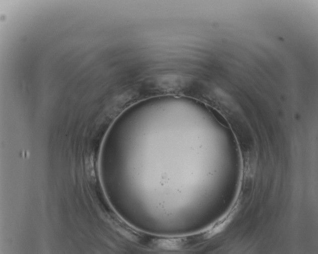 X0000062860182200601201738