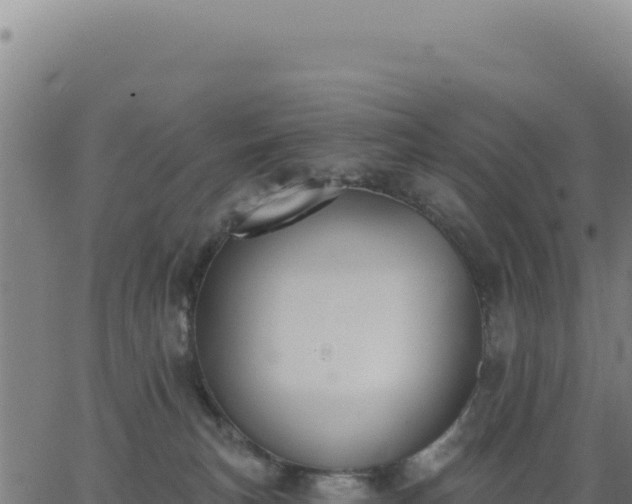 X0000062860183200601201738