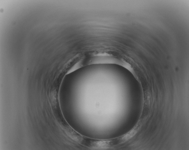 X0000062860184200601201738