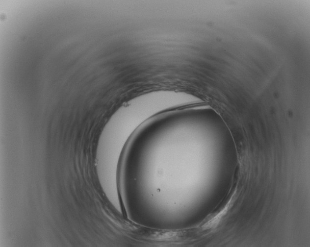 X0000062860186200601201738