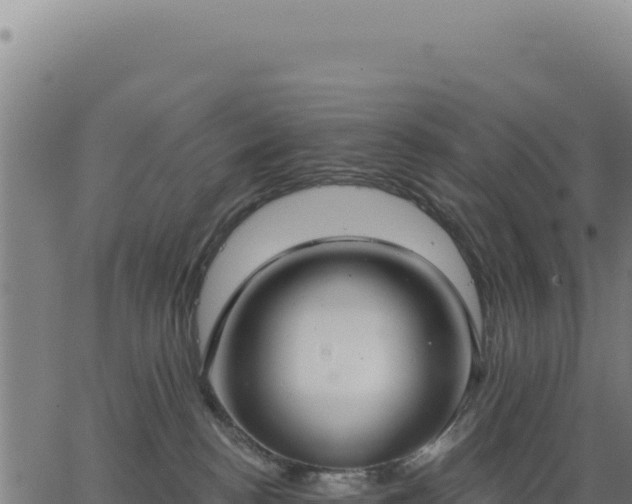 X0000062860188200601201738