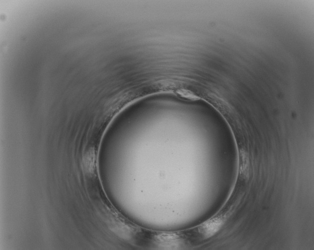 X0000062860189200601201738