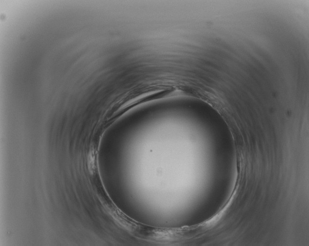 X0000062860190200601201738