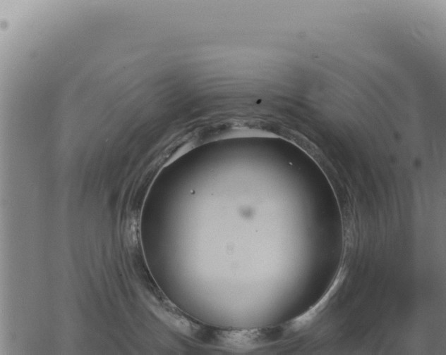 X0000062860191200601201738