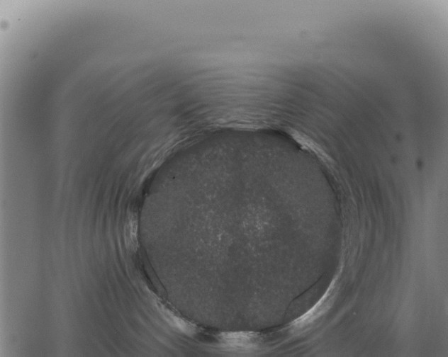 X0000062860192200601201738