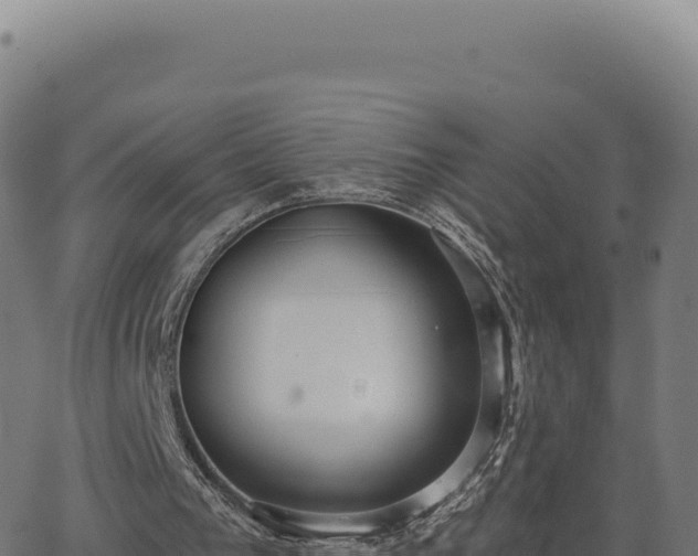 X0000062860193200601201737