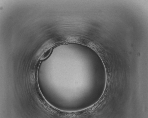 X0000062860194200601201737