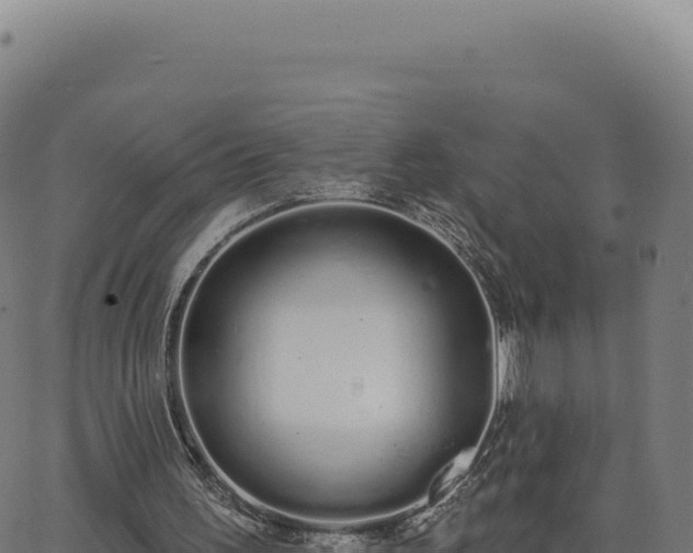 X0000062860195200601201737