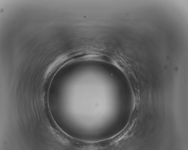 X0000062860197200601201737