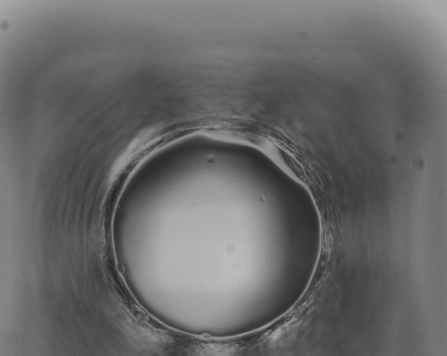 X0000062860198200601201737