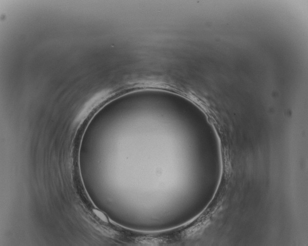 X0000062860199200601201737