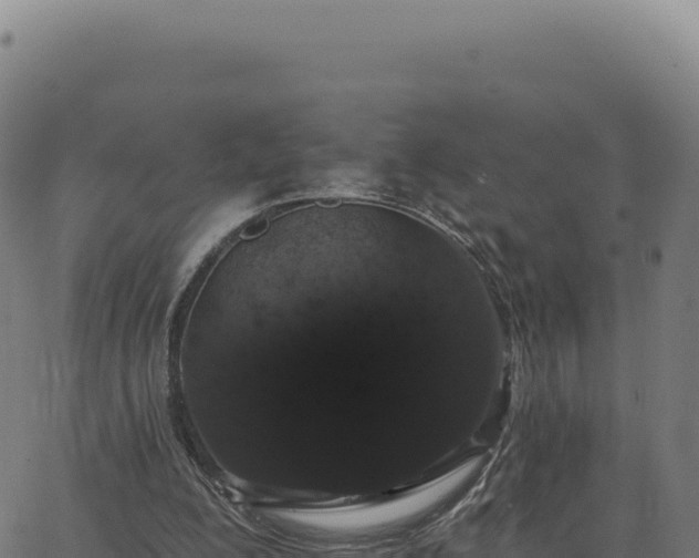 X0000062860200200601201737