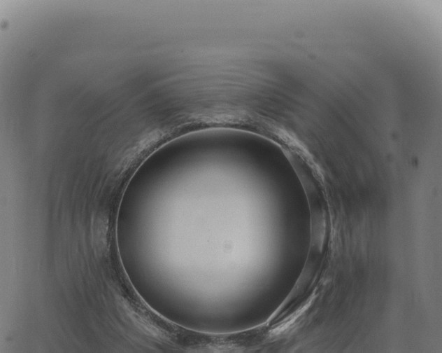 X0000062860201200601201737