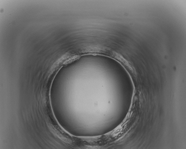 X0000062860203200601201737