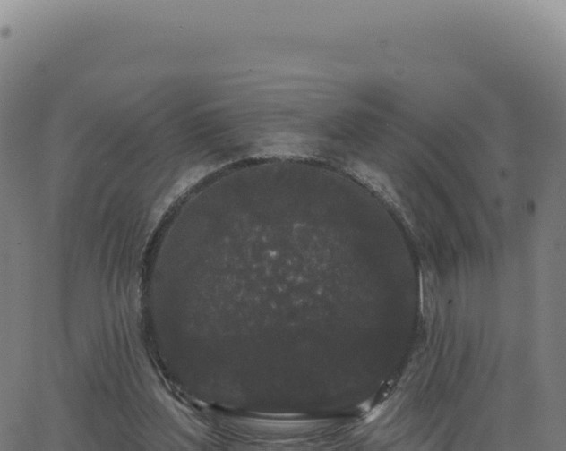 X0000062860204200601201737