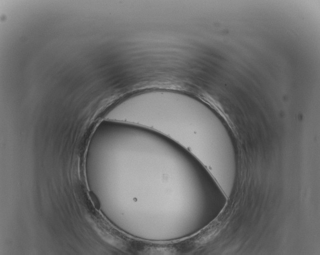 X0000062860205200601201737