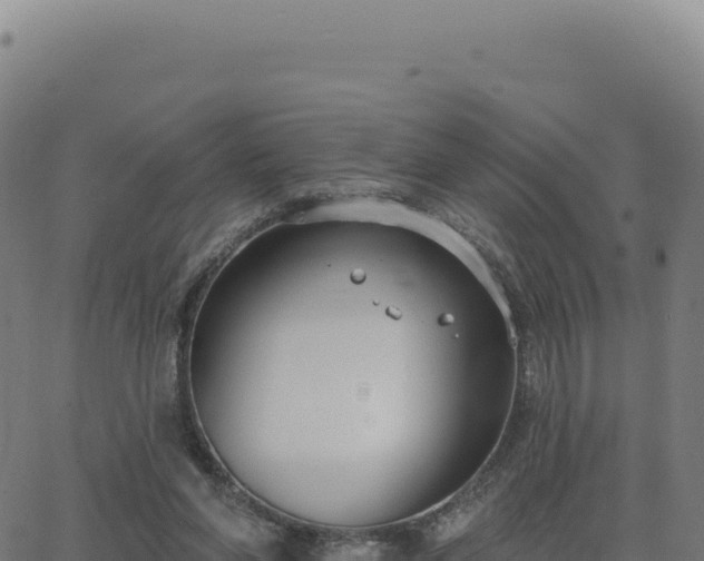 X0000062860206200601201737