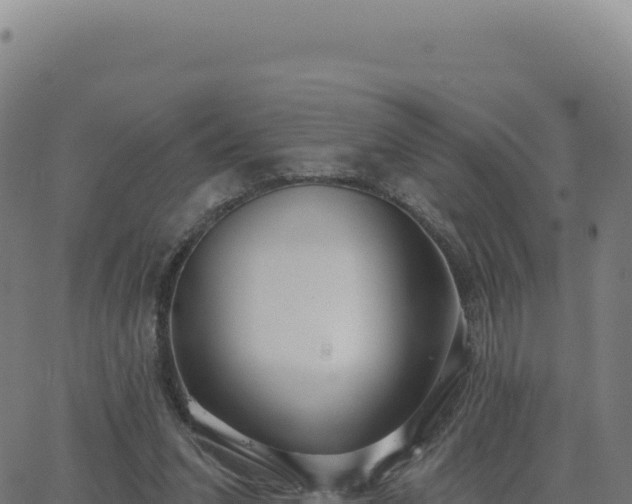 X0000062860207200601201737