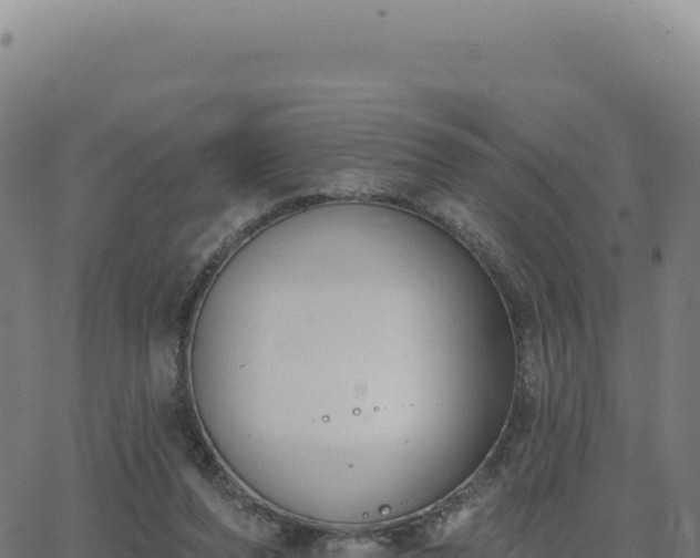 X0000062860208200601201737