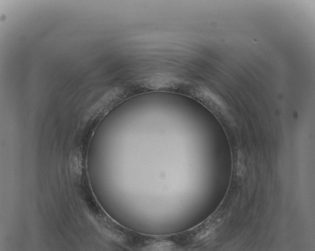 X0000062860210200601201737