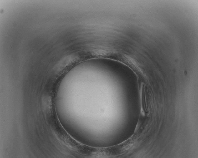 X0000062860211200601201737