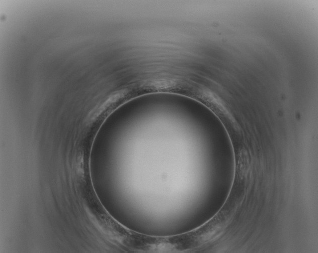 X0000062860212200601201737