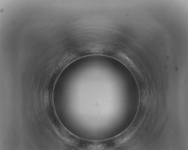 X0000062860213200601201737