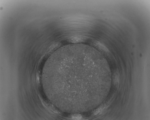 X0000062860214200601201737