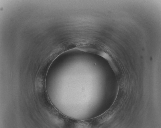 X0000062860215200601201737