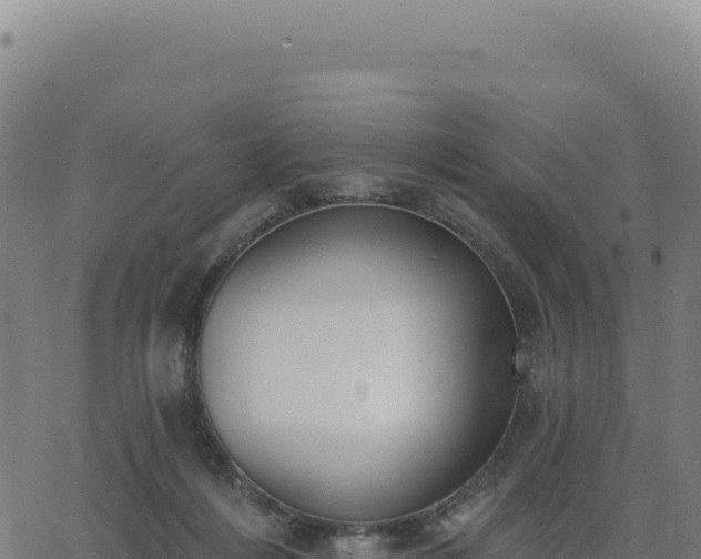 X0000062860216200601201737