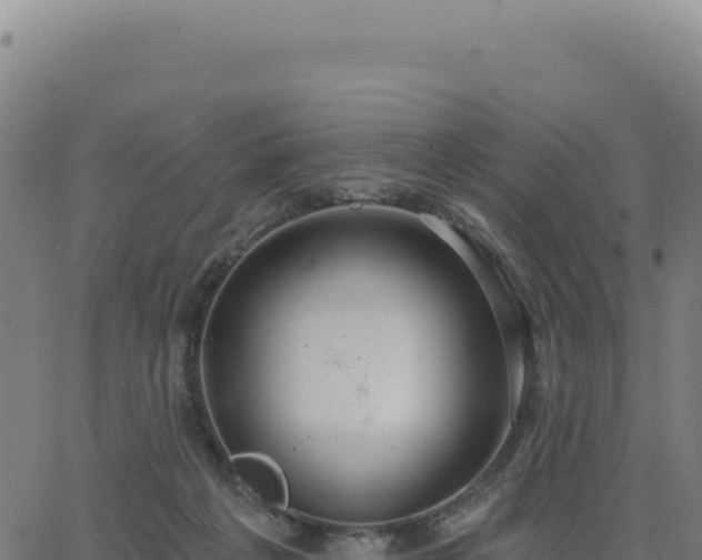 X0000062860217200601201737