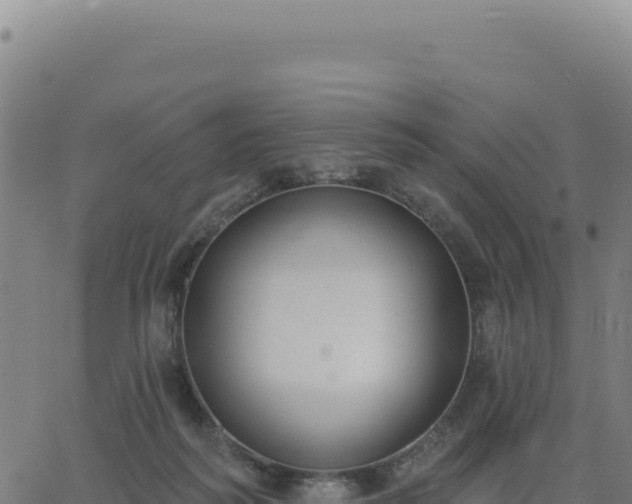 X0000062860218200601201737