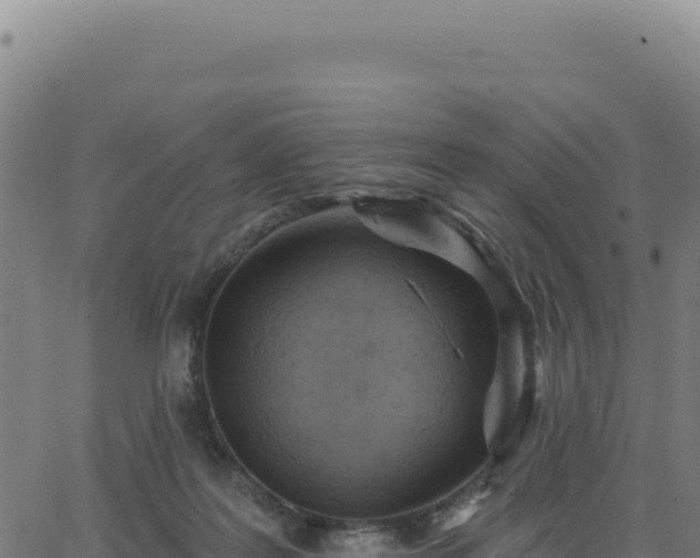 X0000062860219200601201737